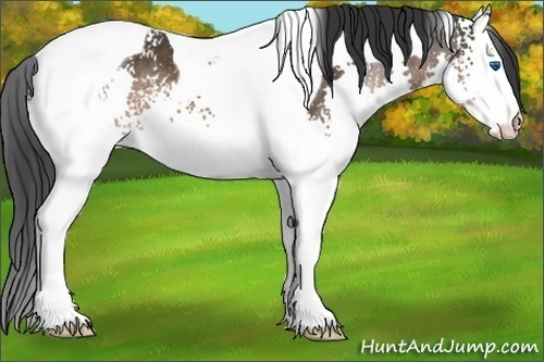 Horse Color:White Spotted Brown Splash Tobiano 