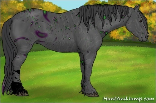 Horse Color:ERROR: UNKNOWN ANOMALY