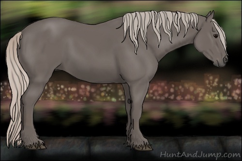 Horse Color:Silver Black Sabino 