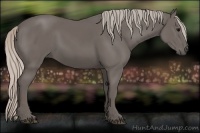 Horse Color:Silver Black Sabino
