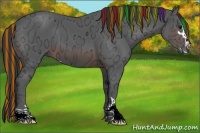 Horse Color:Painted Brown Ice Sabino 