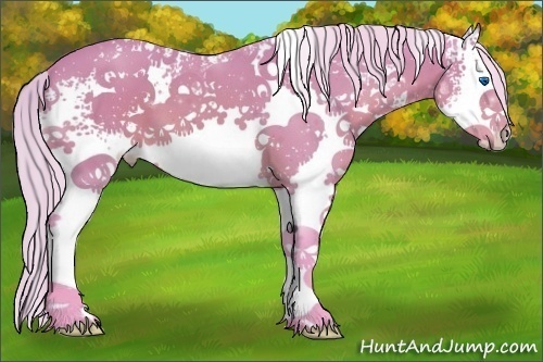 Horse Color:Watercolor White Spotted Silver Brown Splash
