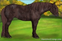 Horse Color:Chocolate Black Ice