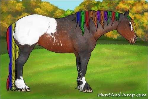Horse Color:Painted Brown Sabino Snowcap