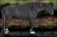 Horse Color:Painted Black Sabino Rabicano