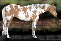 Horse Color:White Spotted Silver Buckskin 