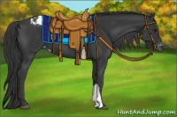 Horse Color:Black Appaloosa