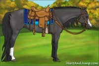 Horse Color:Black Rabicano