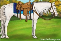 Horse Color:Smoky Creme Appaloosa Rabicano 