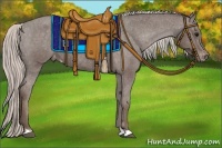 Horse Color:Silver Black Appaloosa 