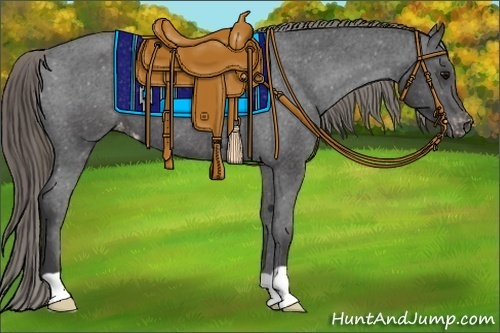 Horse Color:Smoky Black Appaloosa 