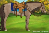 Horse Color:Classic Champagne Appaloosa Rabicano