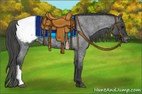 Horse Color:Blue Roan Appaloosa 