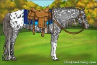 Horse Color:Smoky Black Appaloosa 