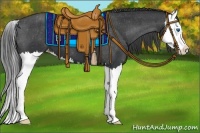 Horse Color:Black Splash Appaloosa 