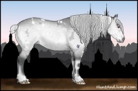 Horse Color:White Spotted Silver Buckskin Chinchilla Ice Onyx Rabicano