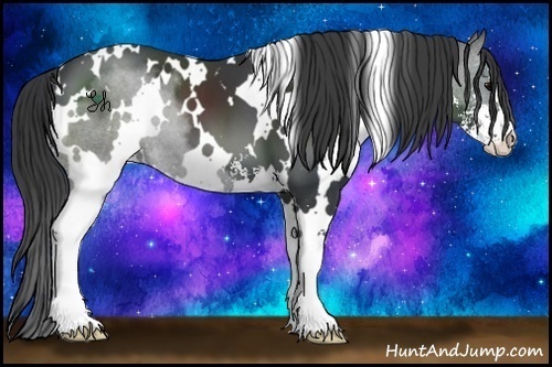 Horse Color:White Spotted Black Sabino 