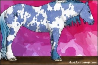 Horse Color:Watercolor White Spotted Bay 