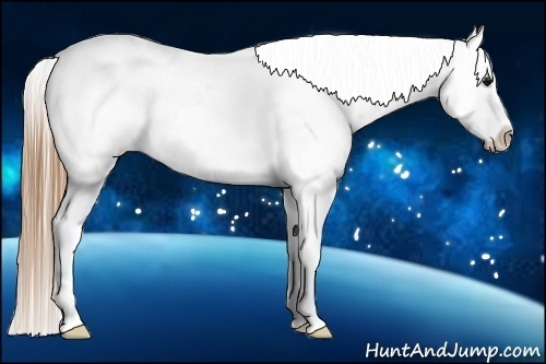 Horse Color:Buckskin Ice Near Leopard 