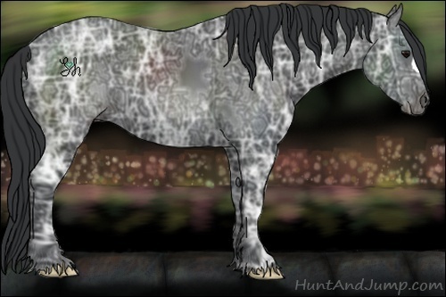 Horse Color:Black Ice 