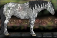 Horse Color:Black Ice 