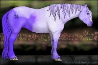 Horse Color:Watercolor Black