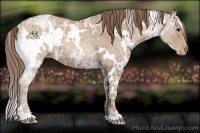 Horse Color:White Spotted Black Ice Pearl 