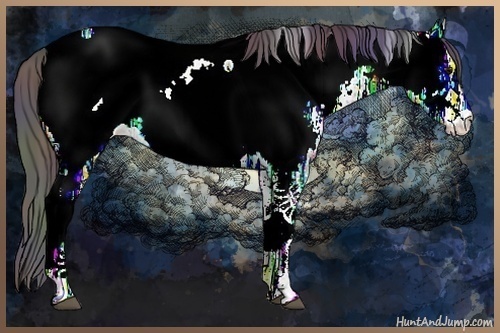 Horse Color:Nacre White Spotted Brown Ice Roan Appaloosa 