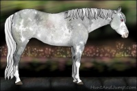 Horse Color:White Spotted Silver Grullo Chinchilla Ice Splash 