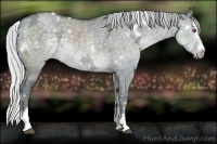 Horse Color:White Spotted Silver Grullo Chinchilla Ice Splash 