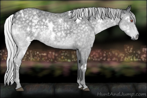 Horse Color:White Spotted Silver Blue Chinchilla Roan