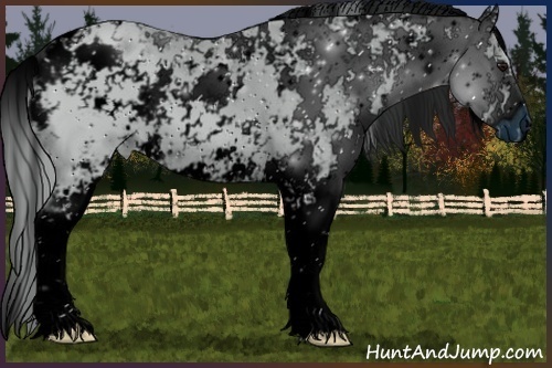 Horse Color:ERROR: UNKNOWN ANOMALY