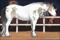 Horse Color:Brown Dun Splash Tobiano 