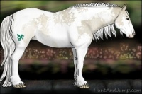 Horse Color:Silver Brown Roan Dun Splash Tobiano 