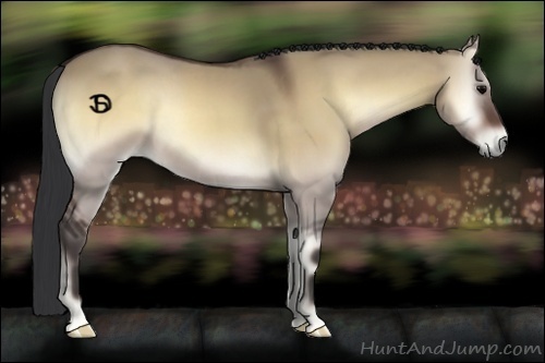 Horse Color:Bay Onyx 