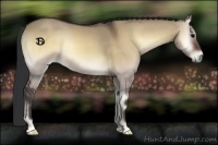 Horse Color:Bay Onyx 