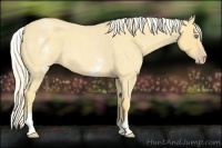 Horse Color:White Spotted Gold Cream Champagne Roan 