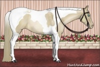 Horse Color:Liver Red Dun Pearl Tobiano Rabicano