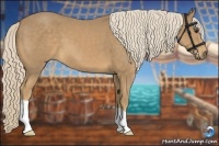 Horse Color:Palomino