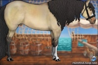 Horse Color:Bay Dun