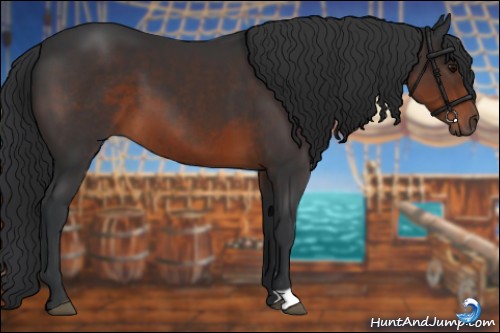 Horse Color:Brown 