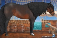 Horse Color:Brown 