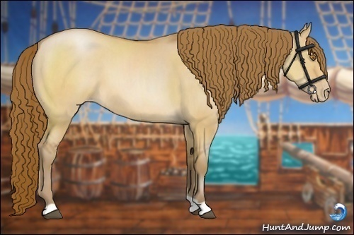 Horse Color:Brown Pearl Dun 