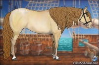 Horse Color:Brown Pearl Dun 