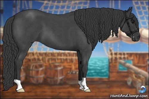 Horse Color:Blue Roan 