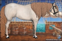 Horse Color:Smoky Blue Roan Pearl 