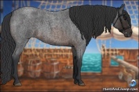 Horse Color:Brown Roan