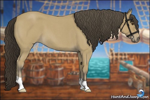 Horse Color:Buckskin Roan 