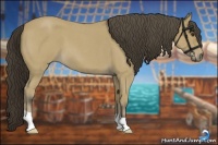 Horse Color:Buckskin Roan 