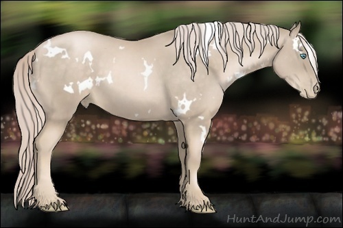 Horse Color:White Spotted Chocolate Palomino Pearl 